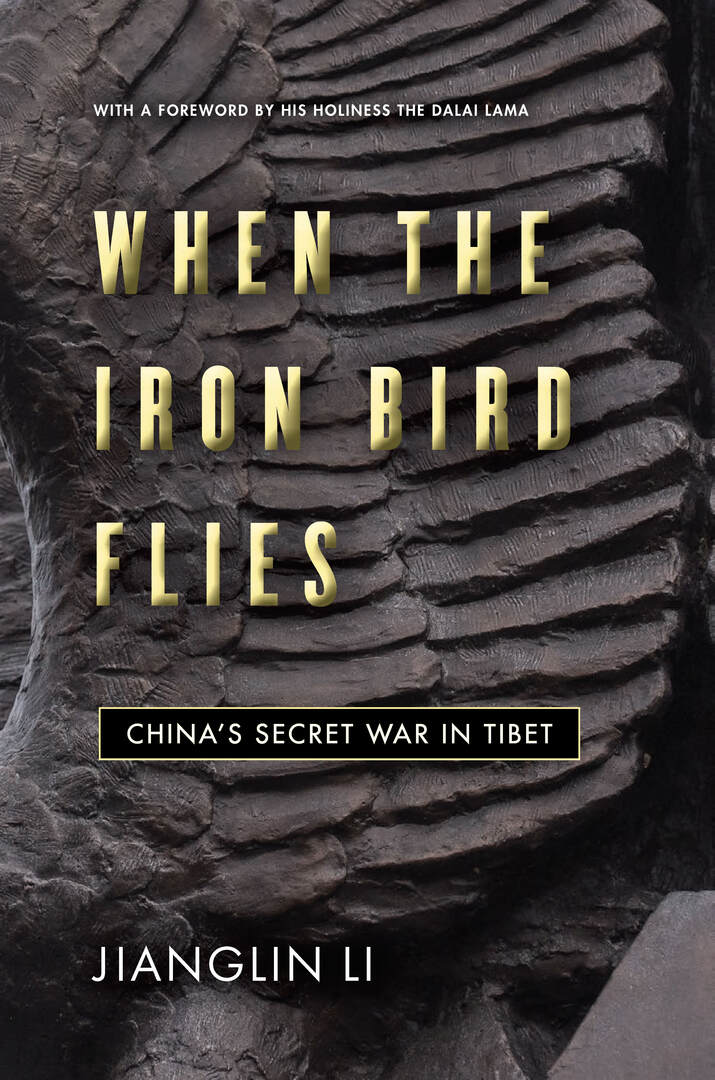 Cover image for When the Iron Bird Flies ISBN 9781503615090