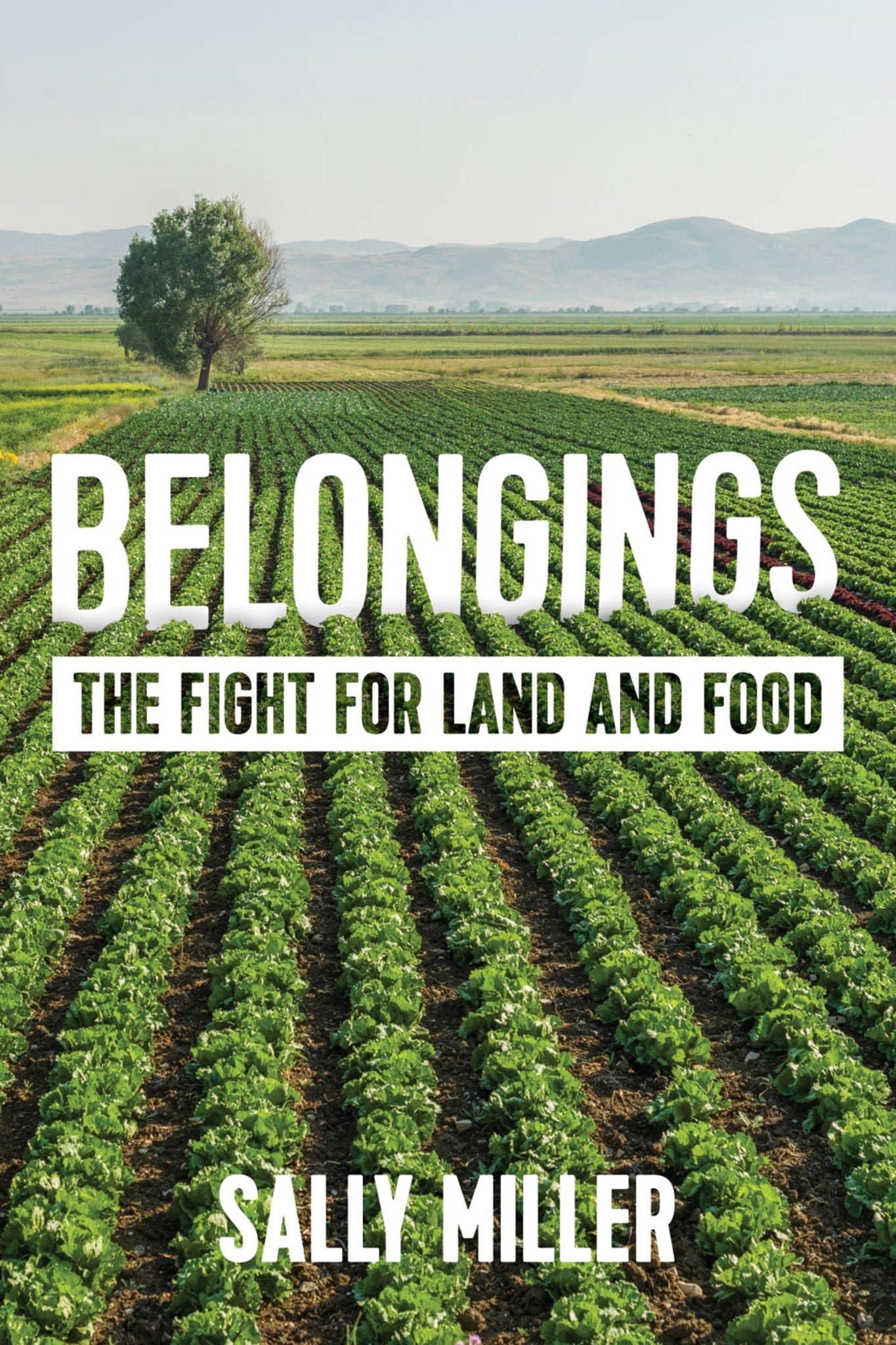 Belongings
