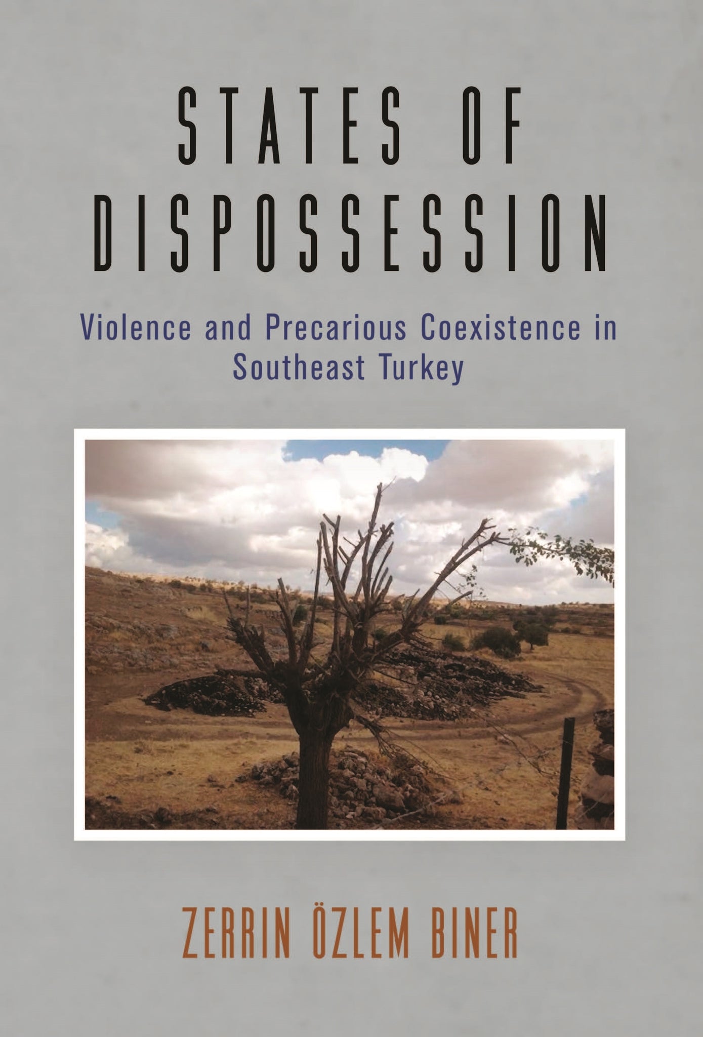 States of Dispossession