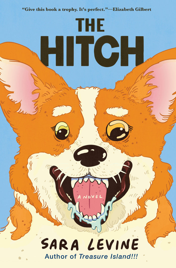 Cover image for The Hitch ISBN 9780802165923
