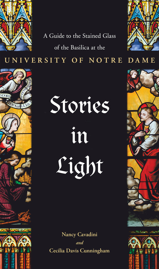 Cover image for Stories in Light ISBN 9780268107420