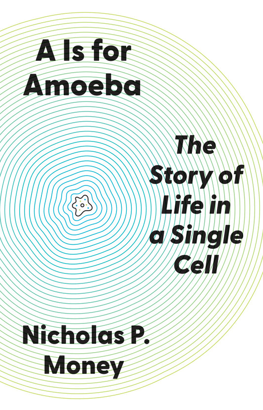 A Is for Amoeba