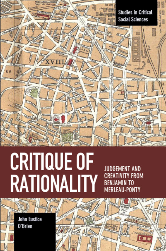 Critique of Rationality