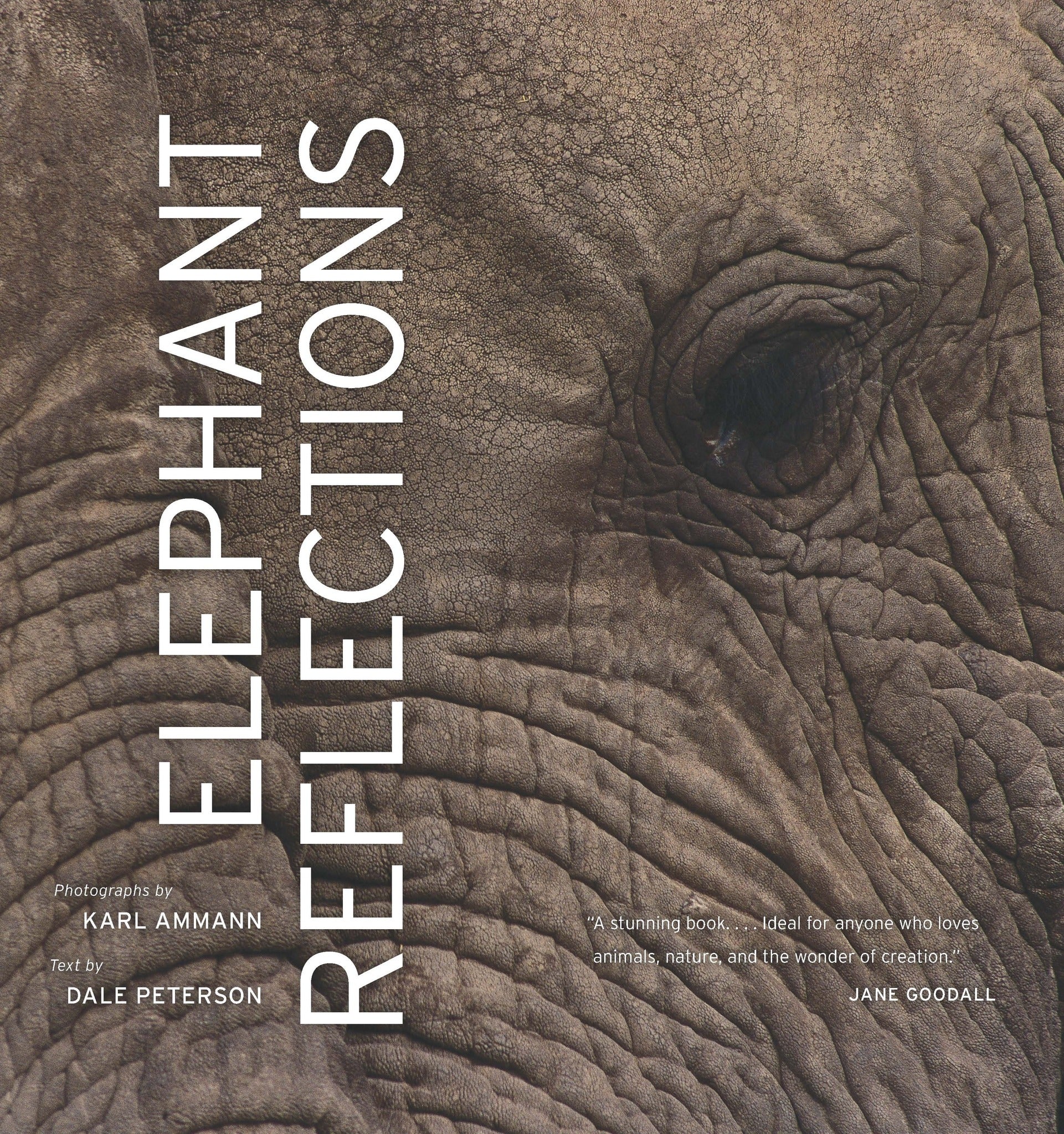 Elephant Reflections