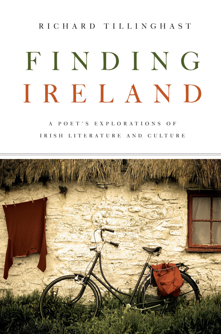 Cover image for Finding Ireland ISBN 9780268042325