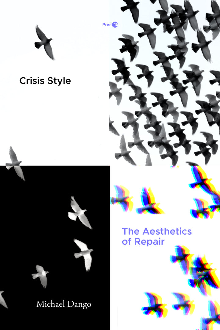 Cover image for Crisis Style ISBN 9781503629554