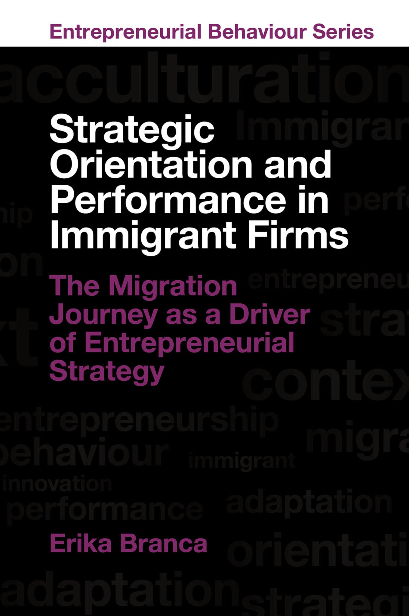 Strategic Orientation and Performance in Immigrant Firms